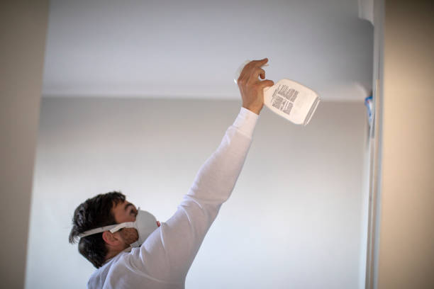 Best White Mold Remediation in Sleepy Hollow, CA