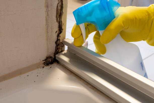Best Mold Testing and Inspection Services in Sleepy Hollow, CA